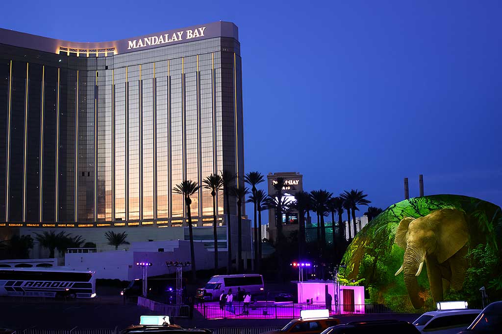 IMRSV-XR Experiential Production